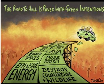 Road to Hell is Paved With Green Intentions.JPG